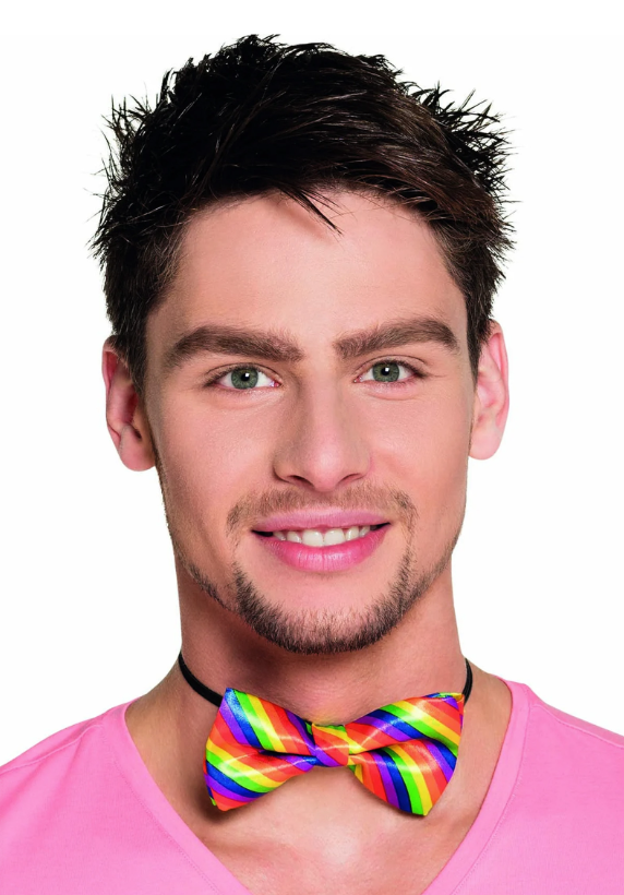 Noeud papillon multicolore adulte