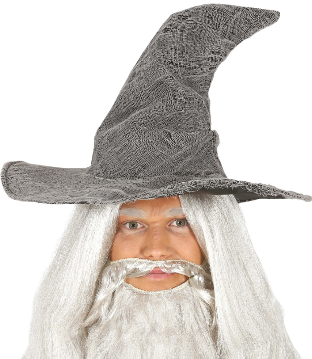 Chapeau de sorcier gris