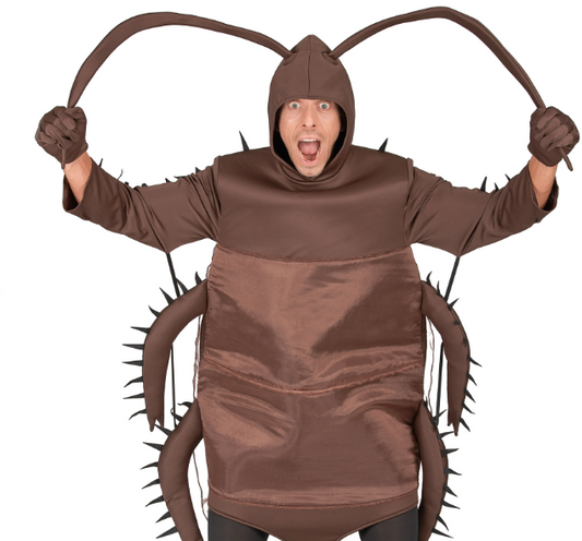 Déguisement cafard humoristique adulte