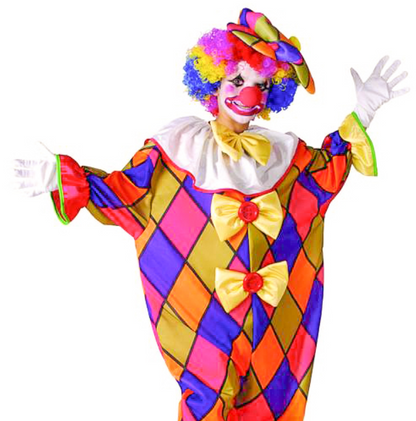 Déguisement Clown à carreaux enfant