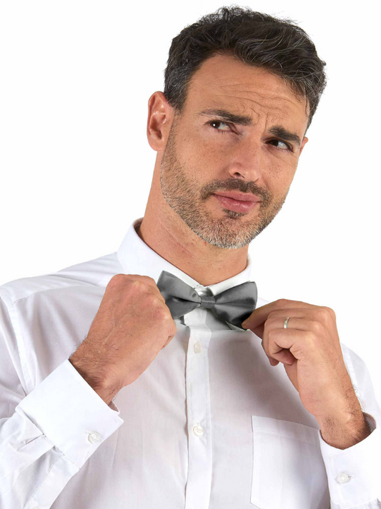 Noeud papillon argent adulte