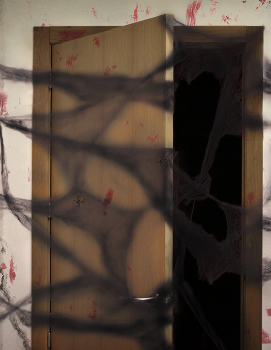 Décoration toile d'araignée noire avec araignées 20 g Halloween