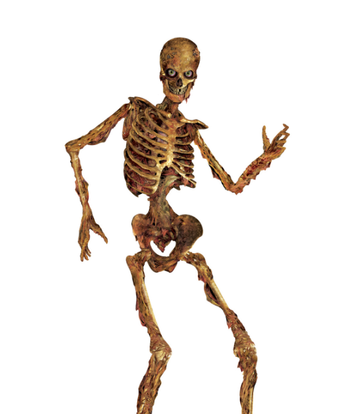 Décoration squelette articulé en décomposition 180 cm